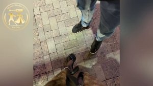 Хьомениг Хьо Кху Са Дагна Ца Хилла Хийра