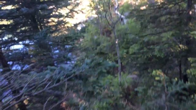 Ольховая 2015