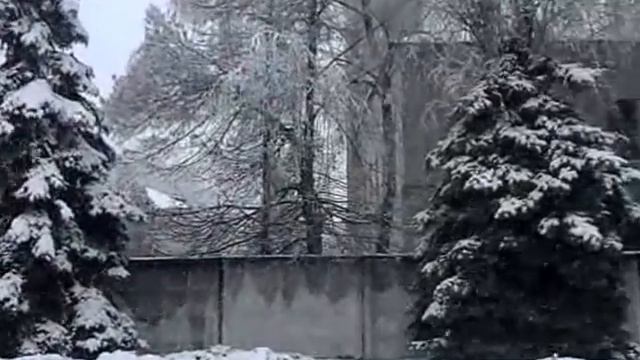 Зимова казка м Радомишль смотреть онлайн