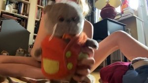 Показываю мои игрушки