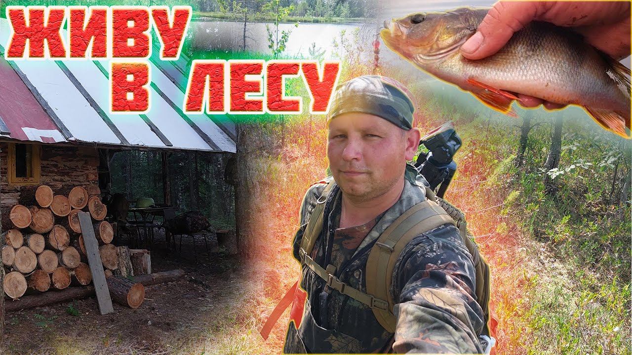 ЧТО НЕ НУЖНО ДЕЛАТЬ В ЛЕСУ?! ЖИВУ В ЛЕСНОЙ ИЗБЕ. РЫБАЛКА. ЕДА НА КОСТРЕ. ЧАСТЬ 1