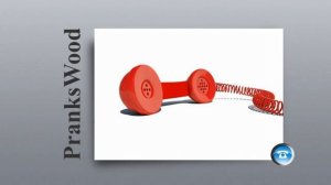 Шайка Дурачков 29