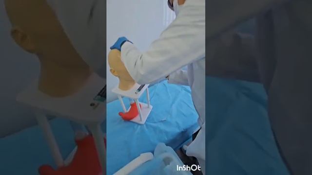 Сестринский дело в педиатрии, акушерстве и гинекологии, паллиативная помощь