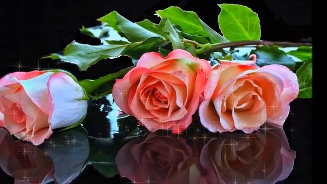 С ДНЕМ РОЖДЕНИЯ ВИДЕО ПОЗДРАВЛЕНИЕ С ДНЕМ РОЖДЕНИЯ ЖЕНЩИНЕ смотреть онлайн