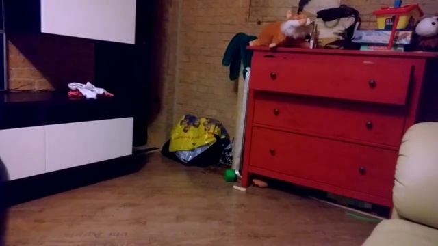 старая лошадь смотреть онлайн