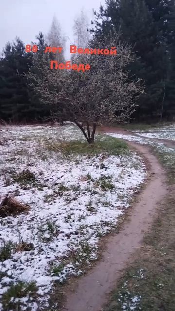 Так было в 4:00 смотреть онлайн