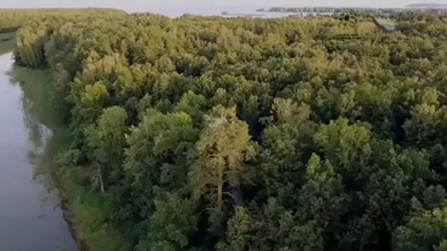 Мир с высоты полета орлана-белохвоста наблюдают орнитологи заповедника в Тат. Саралах смотреть онлайн