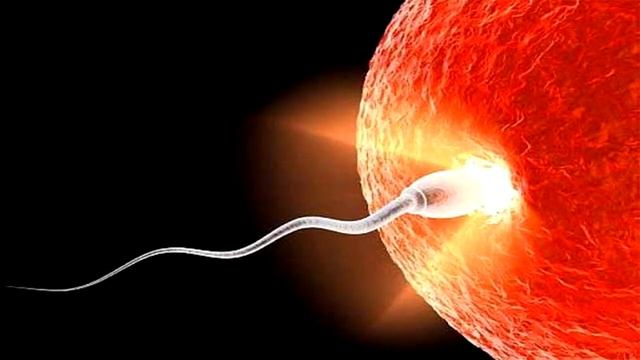 10 фактов о сексе! Интересные факты о сексе! смотреть онлайн