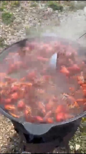 Отличное начало выходного! Согласны? Тогда ставьте лайк. смотреть онлайн