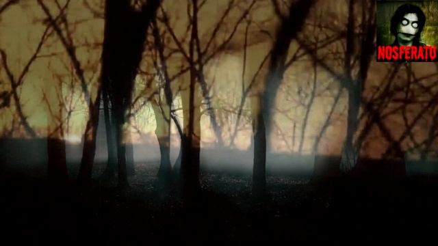 То, что я почти забыл. Страшные истории на ночь 🫣🫣🫣 смотреть онлайн