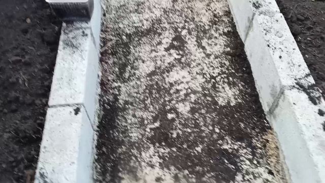 Вспомнила про тушёнку, полезла в закрома. Ром не купила, а то бы уже начала подготовку к выпечке 🍹 смотреть онлайн