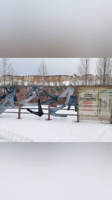 #белыйколодец #паркальпакворонеж #паркзоопарк #контактныйзоопарк #альпаки