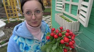 6 соток 1 мая 2025 года. Хроника.