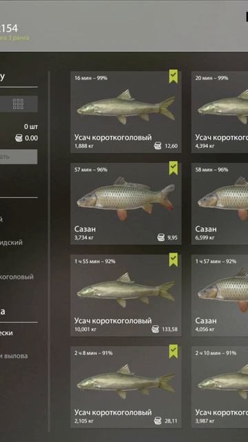 Фарм на Ахтубе без ПВА #fishing #rr4 #carpfishing #рыбалка #games