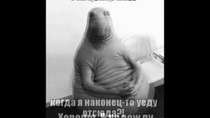Новый мем «Ждун» покорил сердца россиян