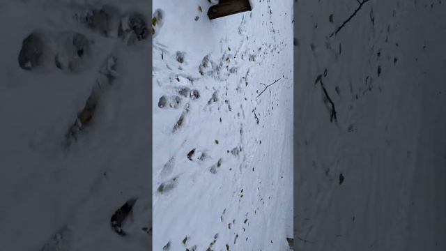 2 раз выпадает снег ❄️🤣🤣