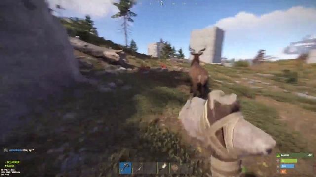 Хард-стрим по Раст #раст #rust #стрим смотреть онлайн