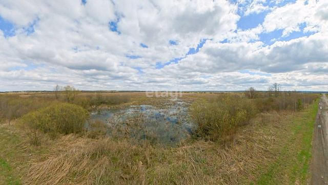 7638629 смотреть онлайн