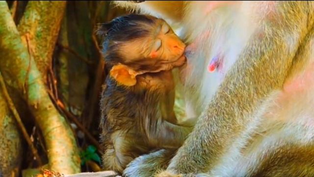 Чего больше всего .... 1000002297.mp4 смотреть онлайн