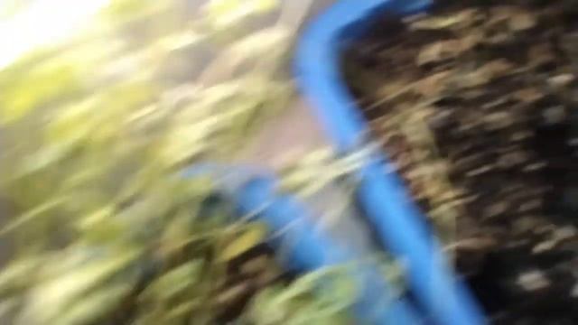 обзор на вид из окна смотреть онлайн