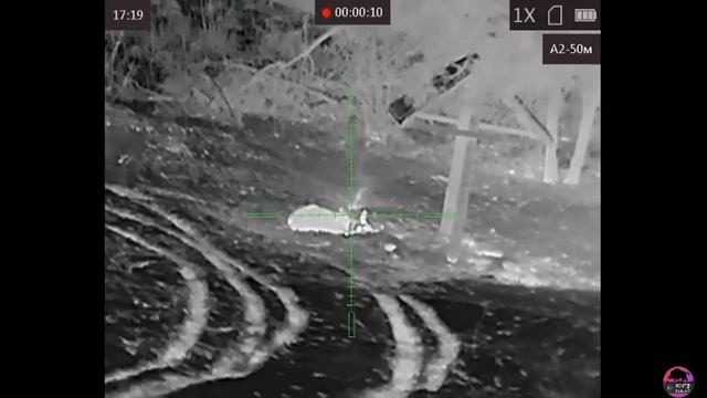 Подборка лучших выстрелов с тепловизионных прицелов Arkon Alfa. смотреть онлайн