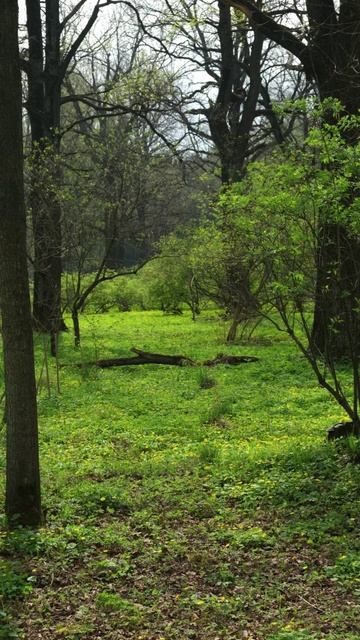 Побег из города на природу. Апрель 2025.