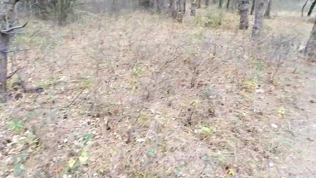 Вязальный VLOG с 28.10 по 30.10. Куклы.Свитер. Кот. смотреть онлайн