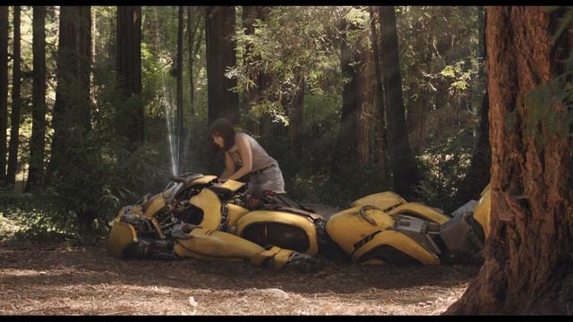 Բամբլբի / Бамблби  / Bumblebee