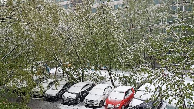 2 мая Москва. смотреть онлайн