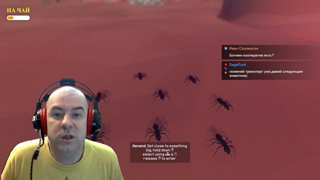 Everything - Быстрый, разговорный стрим. #ИгроНовости смотреть онлайн