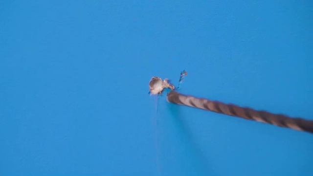 Как Пронести Домашних Животных в Самолёт | Сумасшедший Челлендж от Fun Challenge смотреть онлайн