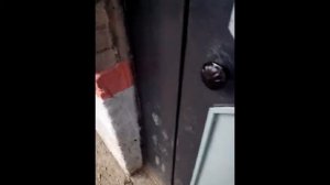 Приколы по домофону