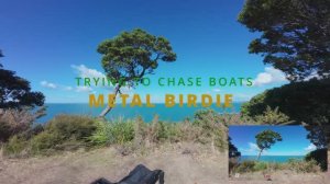 Погоня за лодками из марины Gulf Harbour