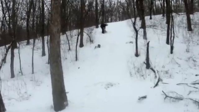 Врезался в дерево, и снежком по голове