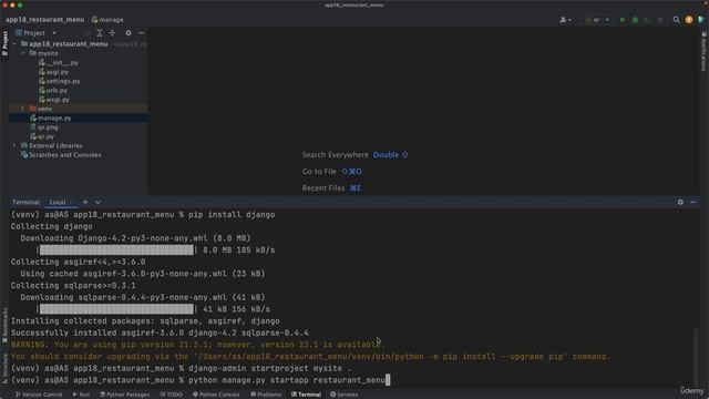 55.003 Setup a Django Project смотреть онлайн