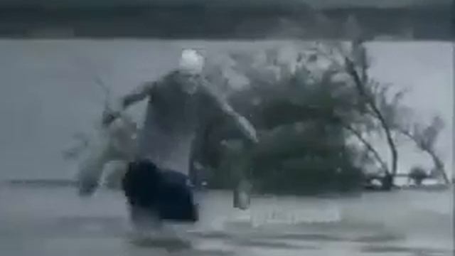 Бабка несёт по кушать рыбки смотреть онлайн