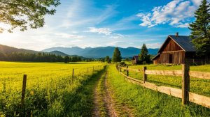 【Кантри Релакс 】Мелодичный плейлист / для отдыха / работы