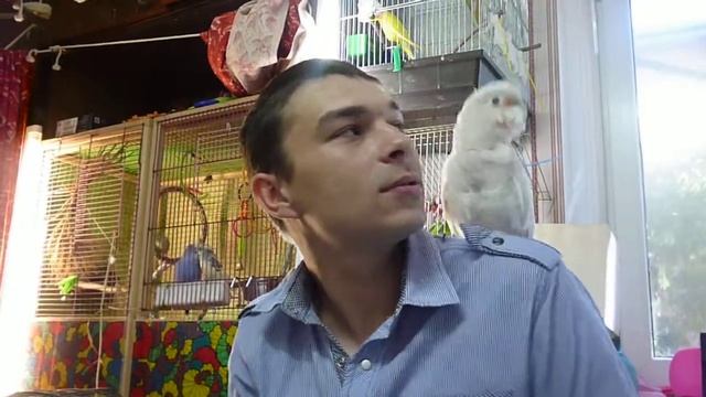 обезьянка Сури