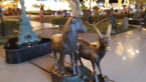 Прогулка на площадь Сохо. Шарм-эль-шейх