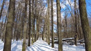 Богач сослал пасынка-инвалида к доярке в глухую деревню… То, что сделала с ним сирота, шокировало…