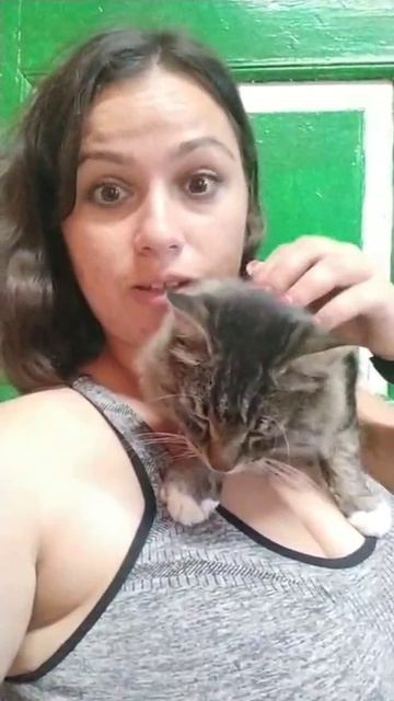 ЗАКУСКА ИЗ ЯИЦ