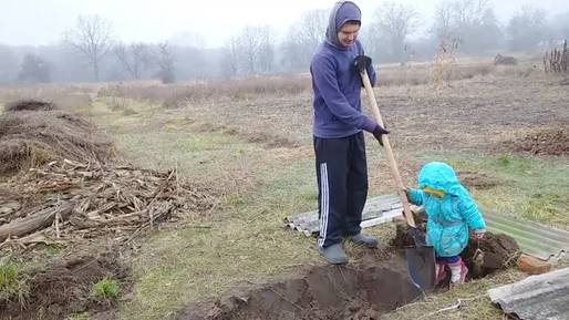 🏃СПЕШИМ К ЗИМЕ закончить РАБОТУ В САДУ и в огороде (3 серия) || Ежевичный сад
