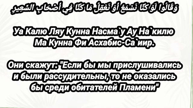 КИМКИ УШБУ СУРАНИ ХАР КЕЧА АЙТИБ ЮРСА КАБРДАН НАЖОТ ТОПАДИ..