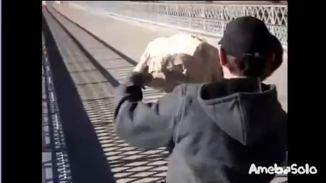 ПРОСТО ПРИКОЛЫ)))) смотреть онлайн