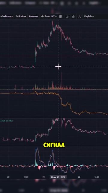 Telegram-бота Скринер Пампов и Дампов - Как Торговать Криптовалюту - Фьючерсы смотреть онлайн