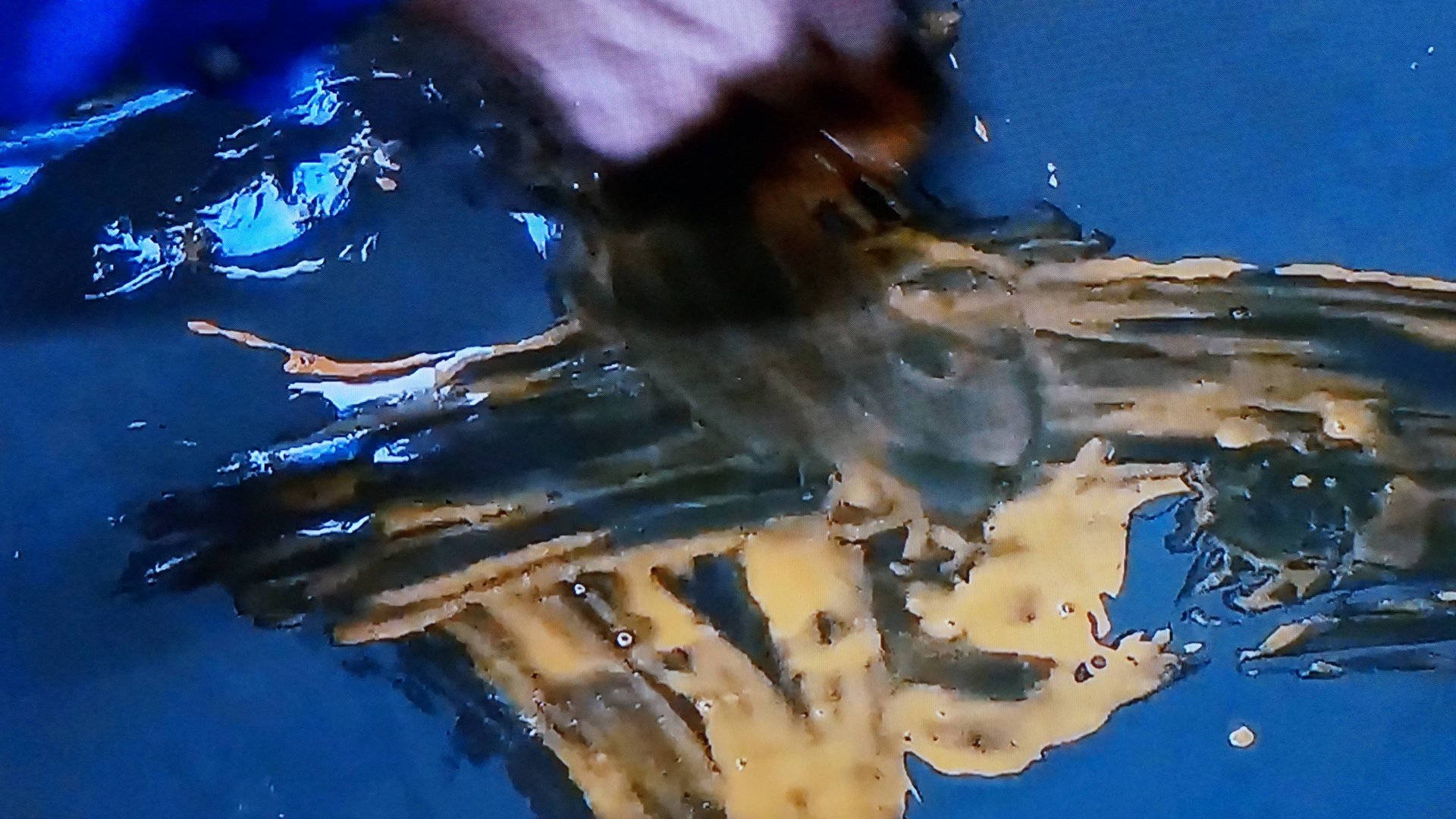 Владимир Бугаев 