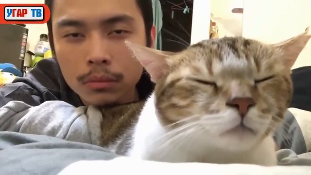 COUB ЛУЧШЕЕ 2017 СМЕШНОЕ ВИДЕО | COUB ПРИКОЛЫ ПОДБОРКА #13 | COUB BEST смотреть онлайн