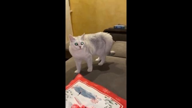 🌪"ГОЛАЯ ВЕЧЕРИНКА"# 🥳 🔥⚡️СРОЧНО до И после!!СМОТРЕТЬ ДО КОНЦА 🎶🎬 смотреть онлайн