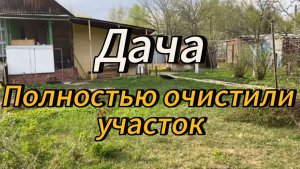 Дача | Ура! Очистили полностью участок | Первые шаги #9
