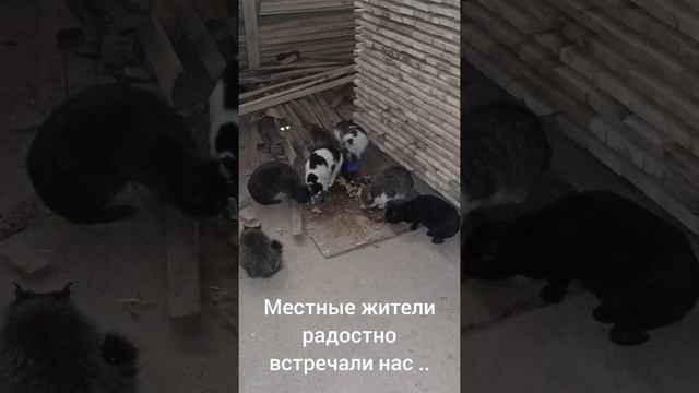 командировка Чувашская республика.